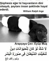 Aysegul Gurhan Adli Kullanicinin Arapca Yazilar Panosundaki Pin Hayvan Tintin Ve Seytani