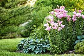 Landscape edging ideas with recycled materials • the garden glove. 20 Best Yard Landscaping Ideas For Front And Backyard Landscaping Design Advice