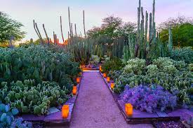 15 Essential Western Experiences For Garden Lovers Desert Botanical Garden Garden Lovers Birmingham Botanical Gardens