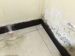 Check spelling or type a new query. Signs Of A Water Leak Behind The Walls Detect Hidden Water Leaks