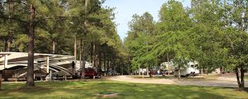 We did not find results for: Beaver Run Rv Park Peaceful Camping In The Pines