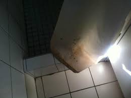 The Filthiest Shower I Have Ever Seen Picture Of Brisbane Airport Inn Tripadvisor