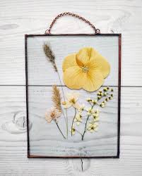 herbarium set of 4 pressed flower frame botanical art etsy interiorpaintcolors interiorpaintcolorsforl framed botanical art pressed flower art flower frame