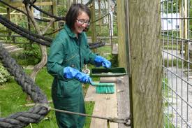 Check spelling or type a new query. Monkey Sanctuary