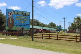 The campground was clean and staff was super nice. Yogi Bear Jellystone Summarized By Plex Page Content Summarization