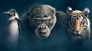 Well, what do you know? Quizzes Bbc Earth