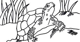 In the fairy tale like about the princess or fables about animals, there is always a good character and other is not good. Box Turtle Coloring Page Art Starts