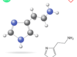 Image result for Histamine