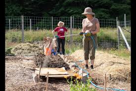 If using newspaper, use several sheets for each layer. Getting Into No Till Gardening Lasagna Beds Bowen Island Undercurrent
