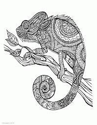 This video is a quick chameleon color tones colored pencils review and first impressions. Chameleon Coloring Page For Adults Coloring Pages Printable Com