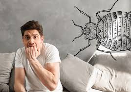 Bed bugs are one of the most insidious home pests, thanks to their tiny size, rapid breeding, and ability to survive for months without a meal. Bed Bug Control London 100 Elimination Best Pest Control