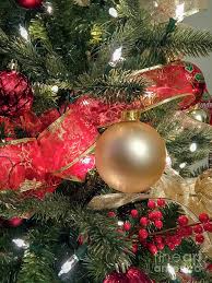 We did not find results for: Christmas Tree 02 Photograph By Alesia Kaye Stein