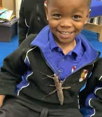 The Roffensian 2022/2023 by King's School Rochester