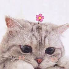  Don T Be Sad My Dear
