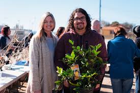 Fruit trees are a great way to grow the urban forest and provide new sources of fresh produce to the community, said mayor robert garcia. First Look 300 Free Fruit Trees Planted For San Fernando Treepeople