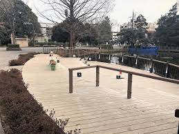 The site owner hides the web page description. å¤§å®®å…¬åœ' Ikegami Accoya Instagram