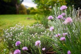 After taking time to relax after easter it's now time to carry on with the gardening. What To Plant In May Best Flowers And Vegetables To Plant In May