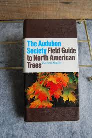 Using a field guide the reason a peterson field guide for eastern trees was used in the video; Pin On Nature Books