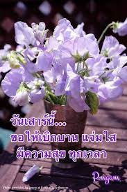 ว นเสาร การให กำล งใจ ศ ลปะ