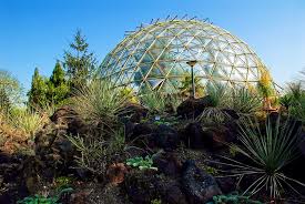 Maybe you would like to learn more about one of these? Im Botanischen Garten Der Uni Dusseldorf Foto Bild Architektur Stadtlandschaft Ordner1 Bilder Auf Fotocommunity