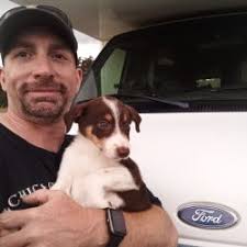 Serendipity Pet Delivery