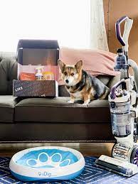 Add lavender scents into your home. 10 Tips For How To Keep Your House Clean With Dogs Parsnips And Pastries