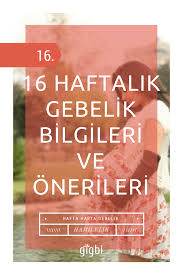 Hafta Hafta Gebelikte 16 Haftalik Gebelik Bilgileri Ve Onerileri 16 Haftalik Gebelik Hamilelik Bilgi
