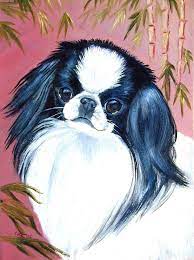 Japanese Chin Giclee Fine Art Print 19 94 Via Etsy Japanese Chin Dog Japanese Chin Japanese Chin Puppies