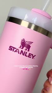 Bloom Stanley Cup Vs Cherry Blossom