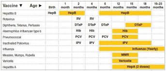 Recommended Vaccination Schedule From Birth To Two Years