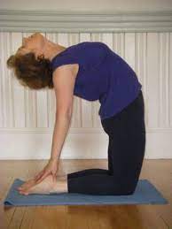 This property was built in 2006. Yoga Instructors In Scotch Plains New Jersey Union County