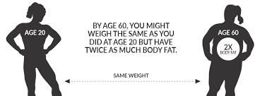 Image result for Body Composition Changes with Aging