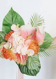 Les cactus sont des plantes connues pour vivre dans des milieux secs, comme les déserts par exemple. Irene Yu Iyu9 Profile Pinterest