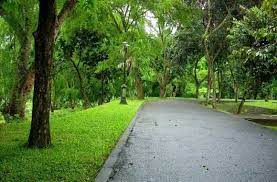 Check spelling or type a new query. Lingkungan Sehat Pengertian Ciri Ciri Hingga Cara Menjaga Mustika Land