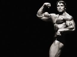 Arnold Schwarzenegger Workout Routine Workoutinfoguru