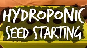 How does a hydroponic garden work? A Simple Guide To Starting Seeds For Hydroponics Epic Gardening