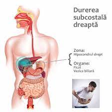 Anumite intepaturi in san sunt considerate normale, ele fiind prezente mai ales in perioada menstrei lunare. Durere Sub Coaste In Partea DreaptÄ Durere AbdominalÄ In Hipocondrul Drept Romedic