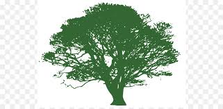 All silhouette clip art are png format and transparent background. Oak Tree Silhouette