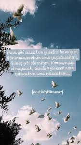 D L Adli Kullanicinin Sozun Ozu Panosundaki Pin Kiyamet Guzel Soz Dalga