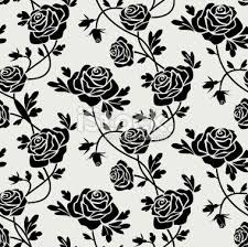 Black Roses Black Rose Black And White Flowers Black Flowers