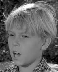 Leave it to Beaver cast information