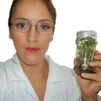 10 perfiles de «Bertha Rubio»