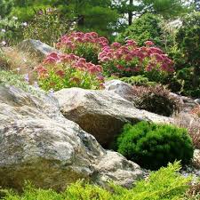 Allen smith's authentic design approach that pays homage to the history of the farm. 30 Gorgeous Rock Garden Designs Hgtv