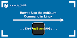 md5sum Linux Command {10 Examples} | phoenixNAP KB