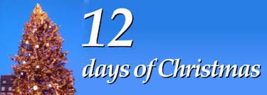 Twelve Days Of Christmas Ed S Slipper