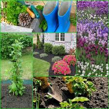 Garten Anpflanzen Bluhende Busche Und Andere Gartenpflanzen Garten Anpflanzen Bluhende Busche Garten Pflanzen