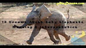 What Does Baby Elephants Dreams Mean Dream Meaning Interpretation Dream Meanings Elephant Baby Elephant