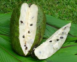Bisnis jasa titip beli sedang naik daun belakang ini mengiringi kemajuan teknologi yang pesat. Khasiat Durian Belanda Masih Diperdebatkan Dr Zubaidi Hj Ahmad Menulis