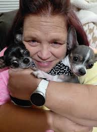 Anyone else's chi got an entire wardrobe😂