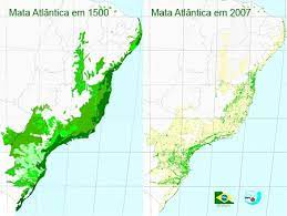 floresta amazonica e a mata atlantica enciclopedia global
